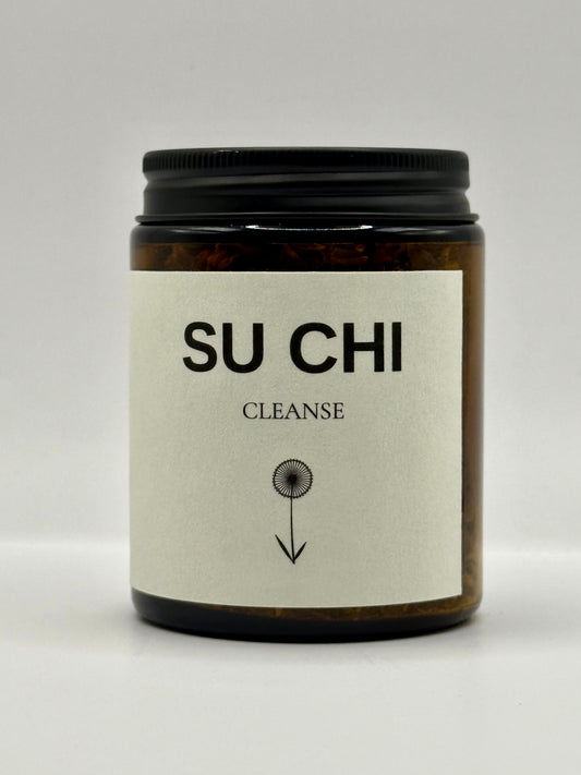 CLEANSE